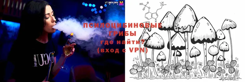 Галлюциногенные грибы Cubensis  цена   Кирс 