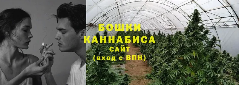 Конопля SATIVA & INDICA  Кирс 